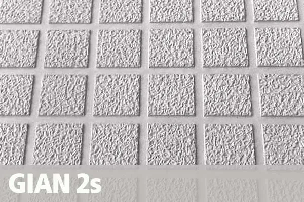 GIAN 2s